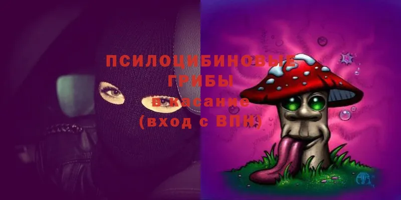 mega маркетплейс  Егорьевск  Псилоцибиновые грибы Psilocybine cubensis 